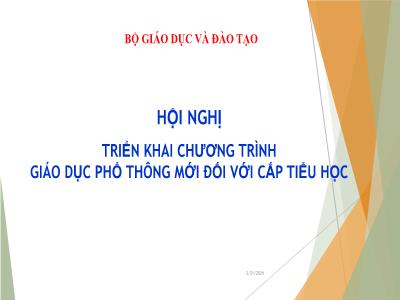 Hội nghị triển khai chương trình giáo dục phổ thông mới đối với cấp tiểu học