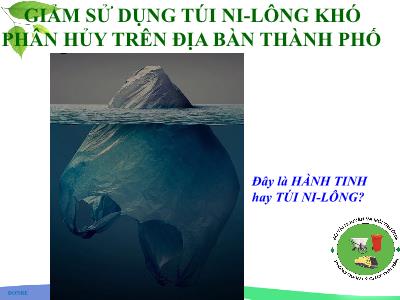 Sáng kiến kinh nghiệm Giảm sử dụng túi ni-lông khó phân hủy trên địa bàn Thành phố